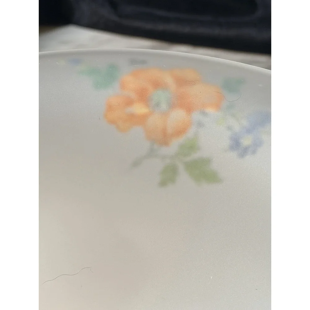 FROSTED SATIN GLASS PEDESTAL CANDY/CENTER BOWL‎ WITH HANDPAINTED FLOWERS (2797)